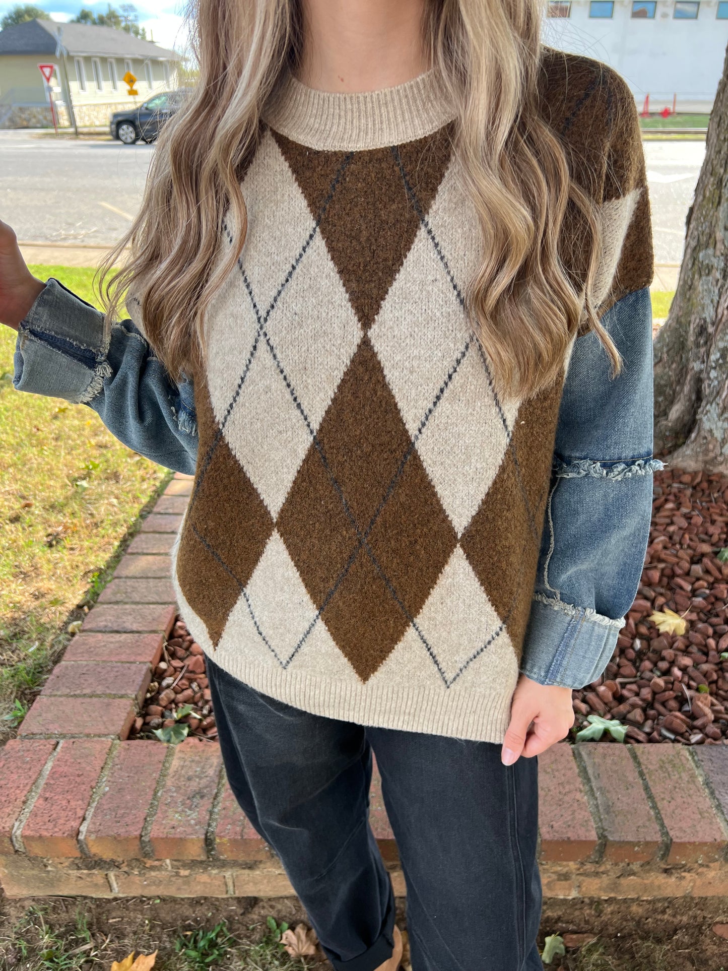 Colette Argyle Denim Sleeve Sweater