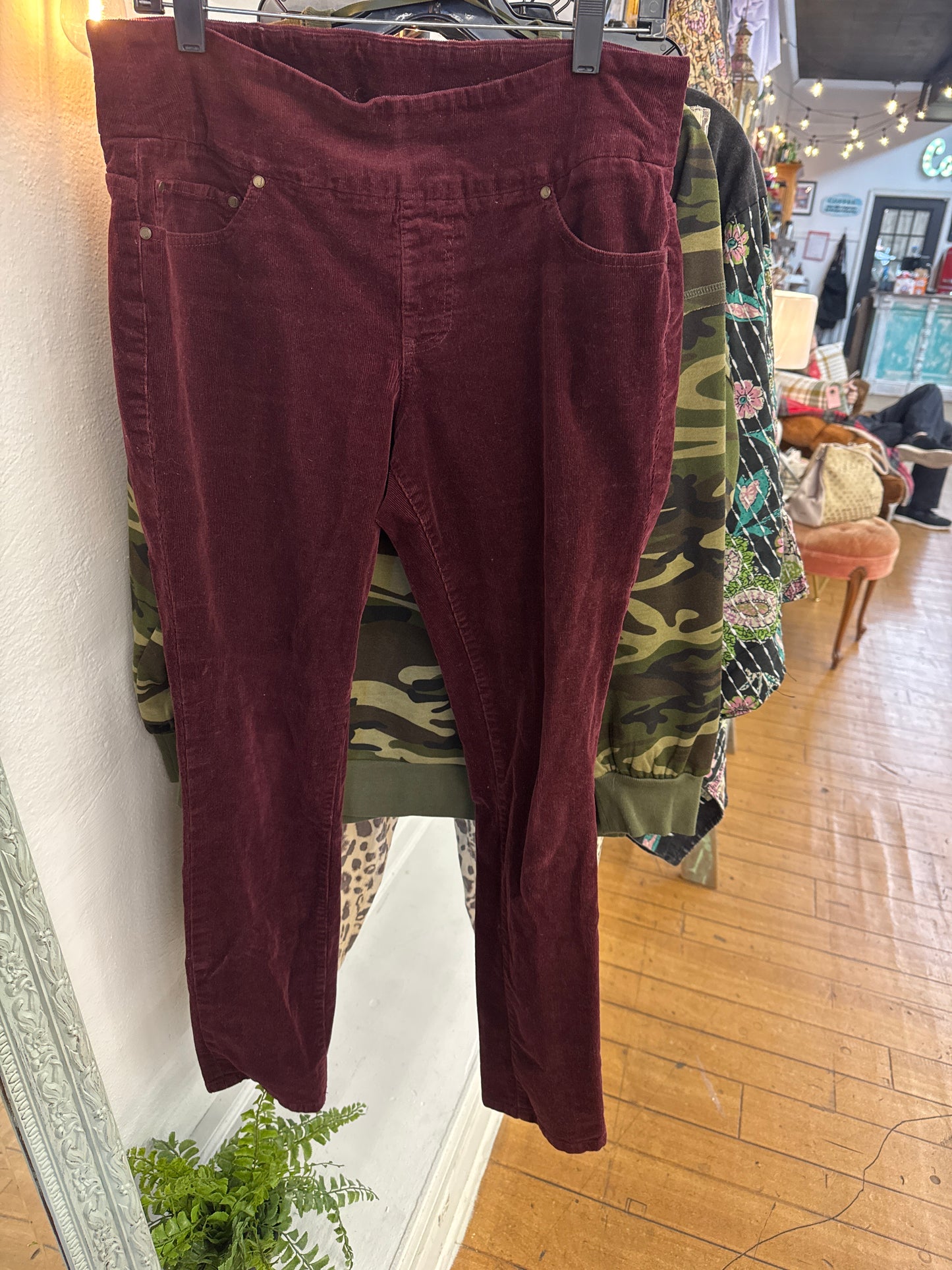 WP -Jag Pull-on Burgundy Cords | 12