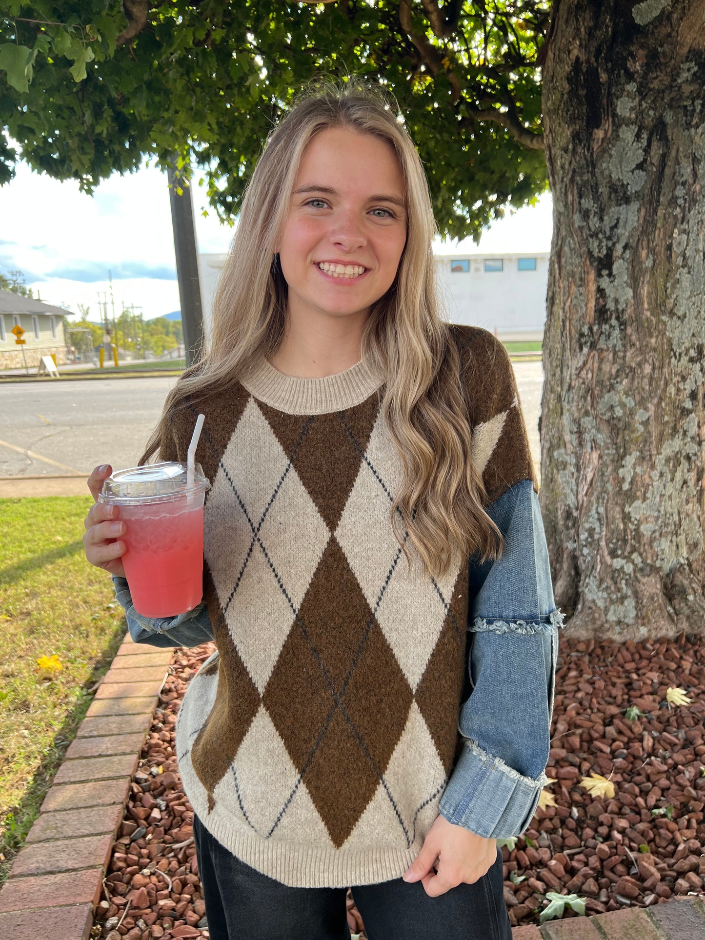 Colette Argyle Denim Sleeve Sweater