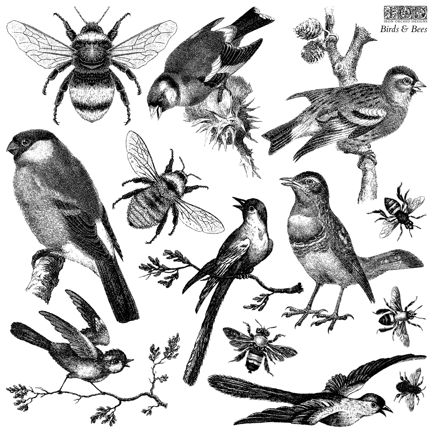 Birds & Bees 12x12 IOD Stamp
