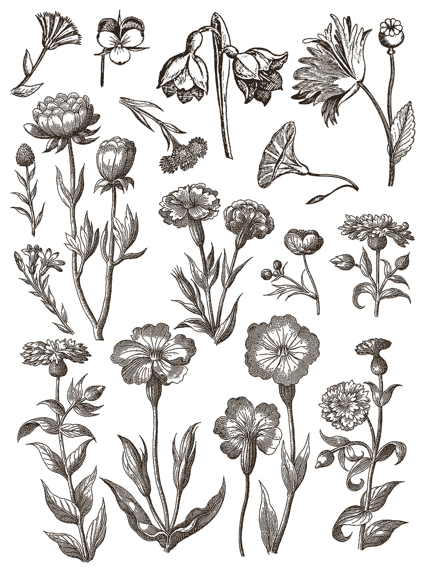 Floriography IOD Paint Inlay 12x16 Pad™