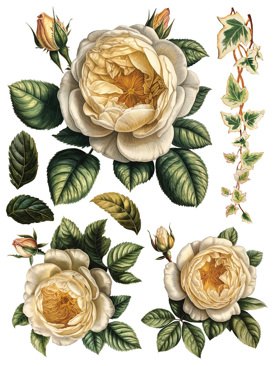Collage de Fleurs IOD Transfer 12x16 Pad