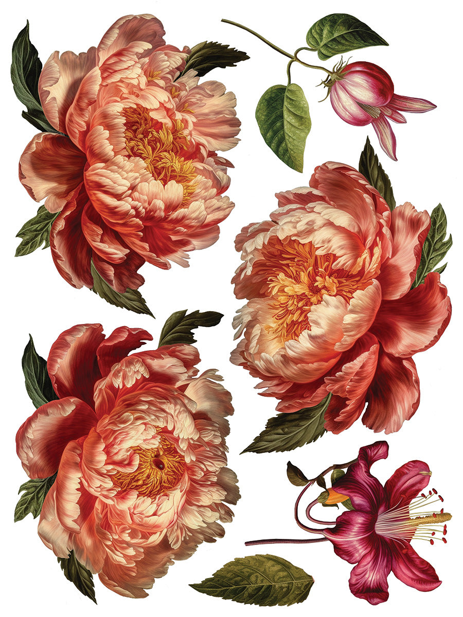 Collage de Fleurs IOD Transfer 12x16 Pad