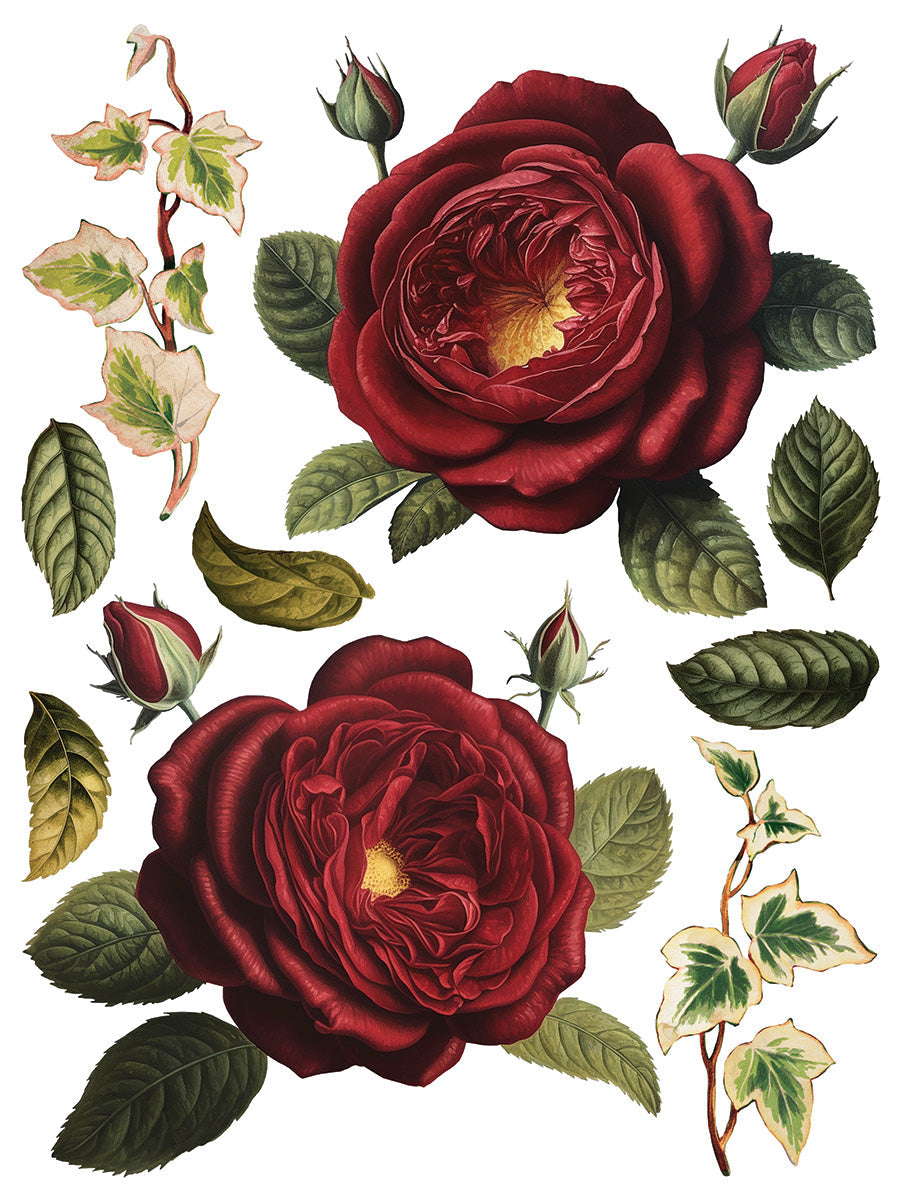 Collage de Fleurs IOD Transfer 12x16 Pad
