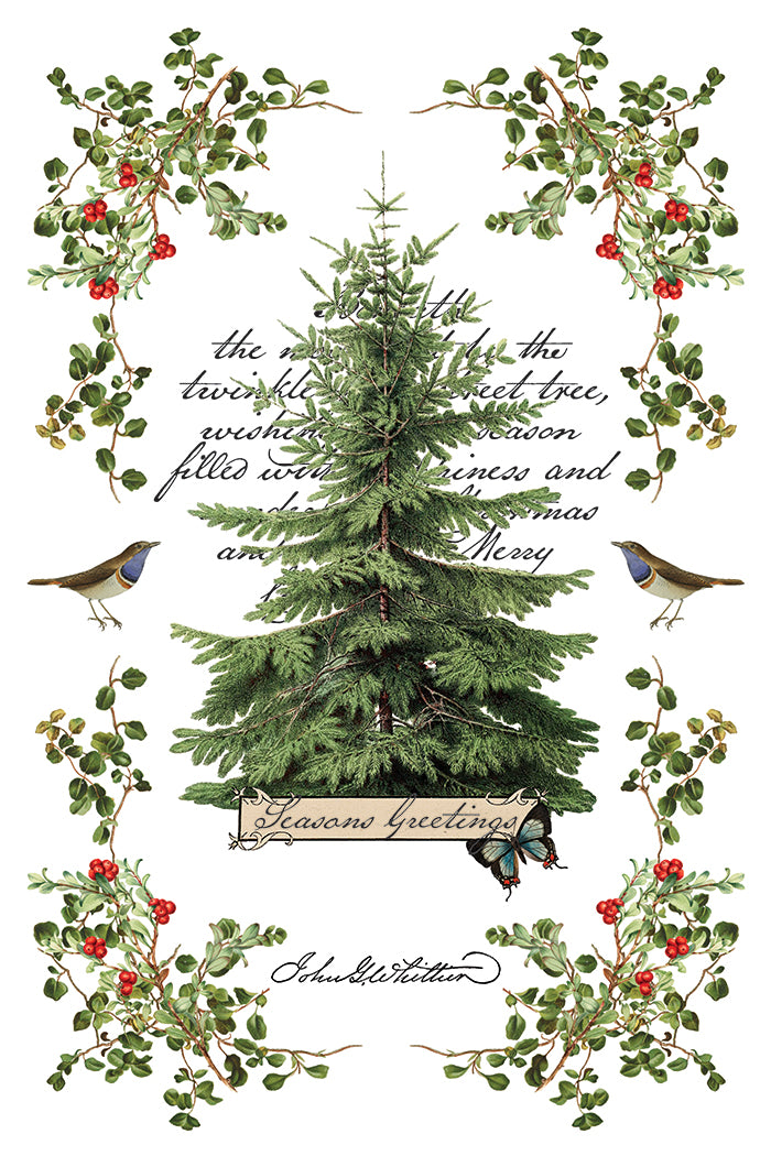 Winter Botanist IOD Transfer 8x12 Pad™