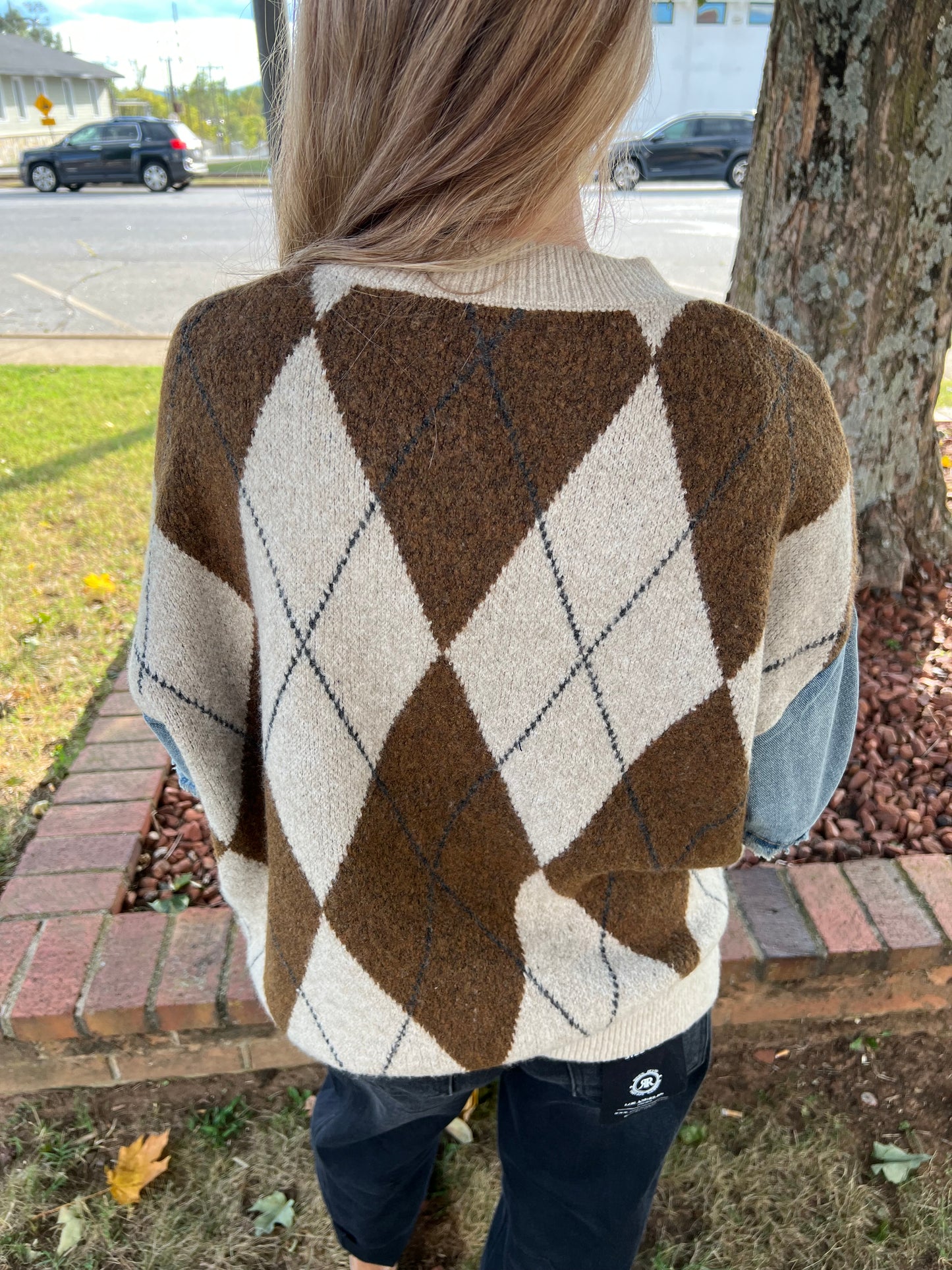 Colette Argyle Denim Sleeve Sweater
