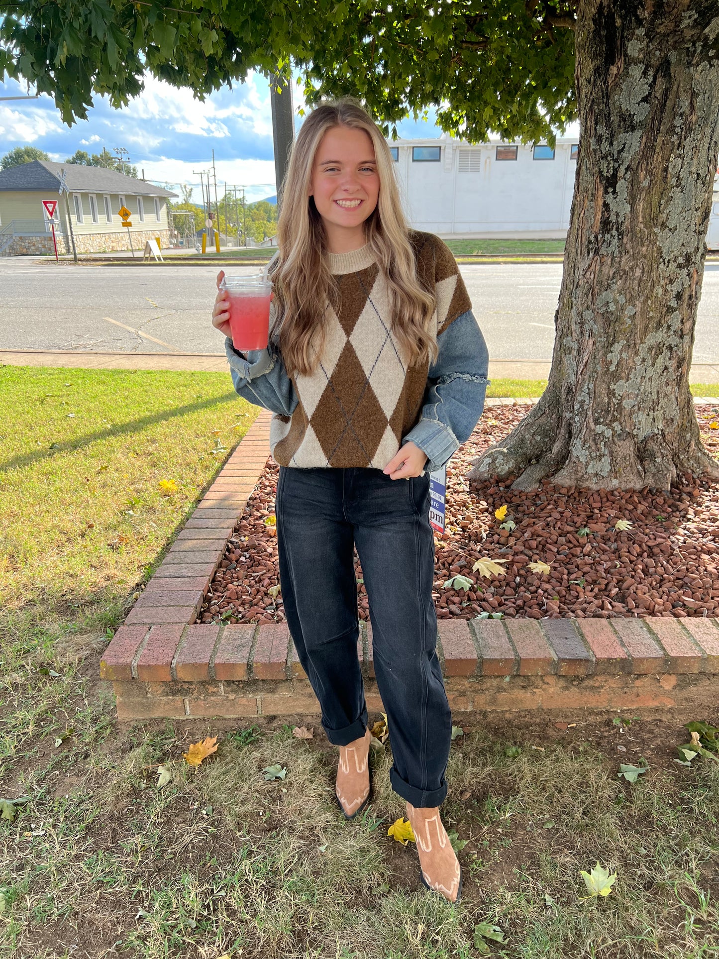 Colette Argyle Denim Sleeve Sweater