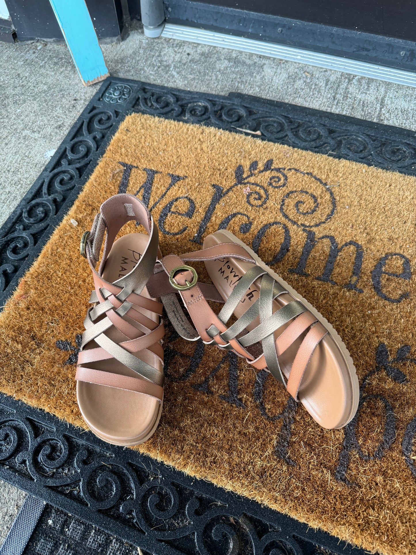 Blowfish Curio Sandal | Oak