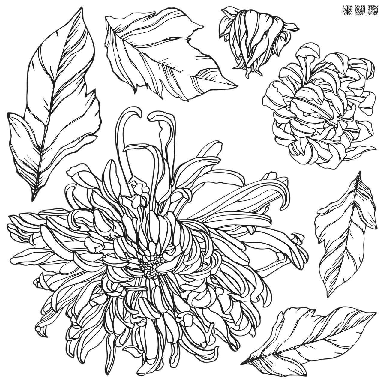 Page 1 Chrsanthemum IOD Decor Stamp