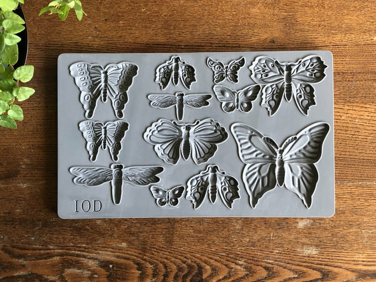 Monarch 6x10 Decor Moulds