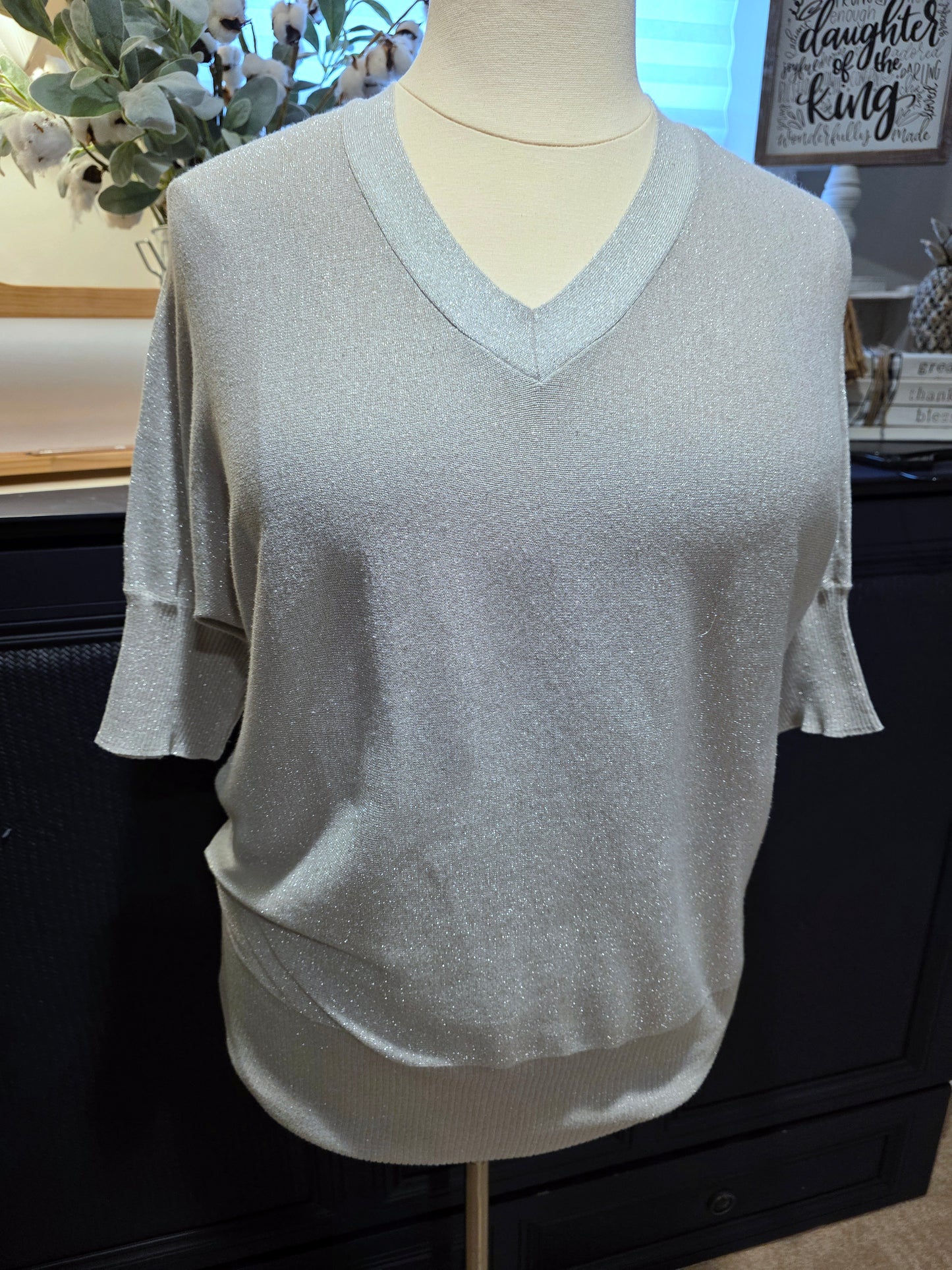 JR-Silver V Neck Sweater Top | 2X