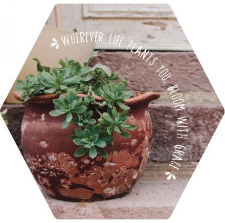 Grace - 4X3.5 Magnet