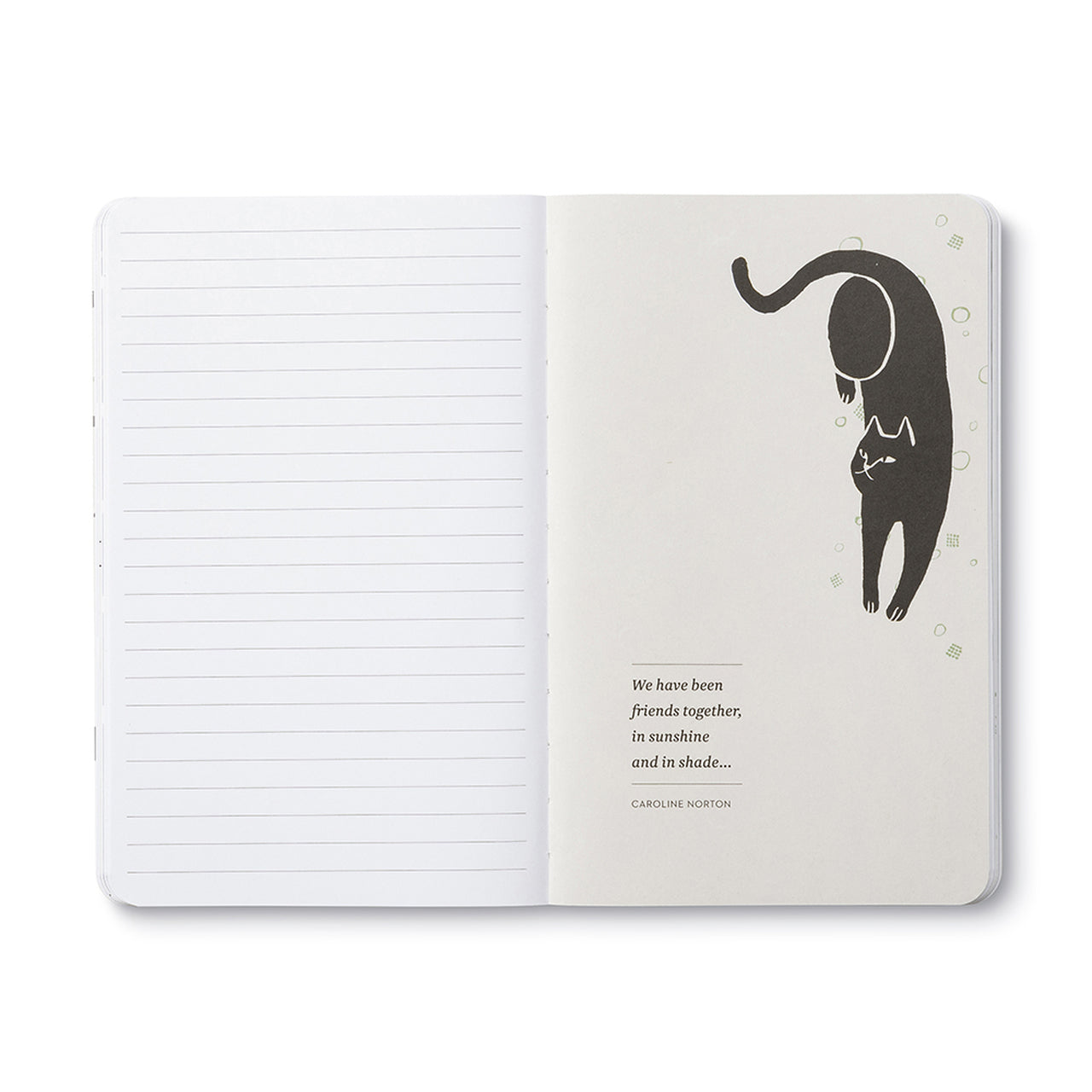 Write Now Journal - There are no ordinary cats