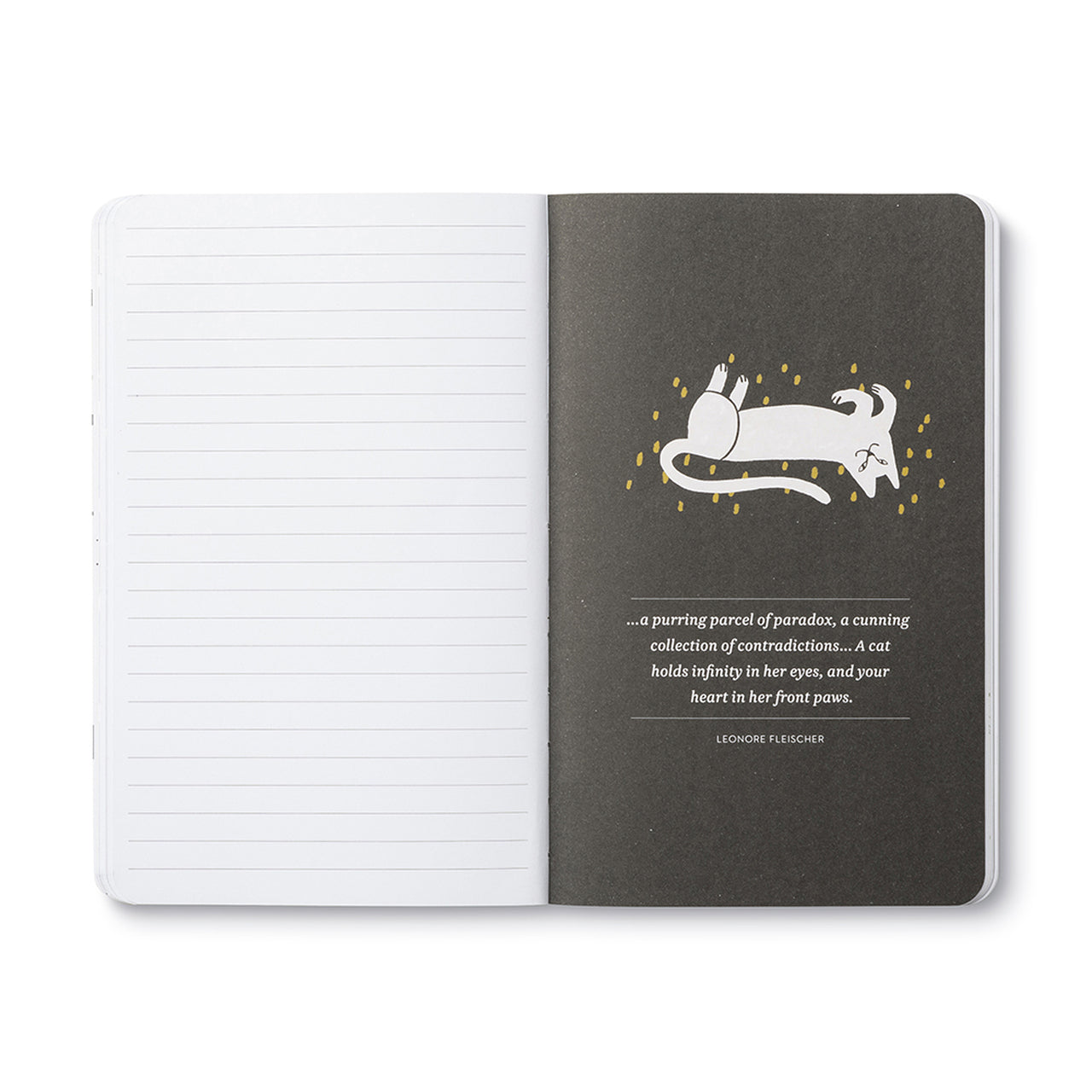 Write Now Journal - There are no ordinary cats