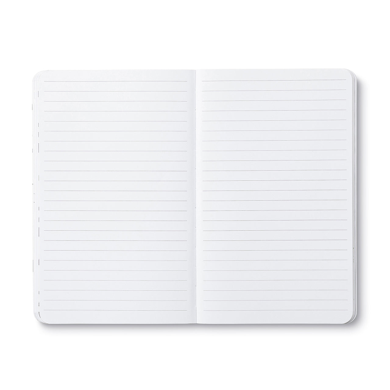 Write Now Journal - There are no ordinary cats