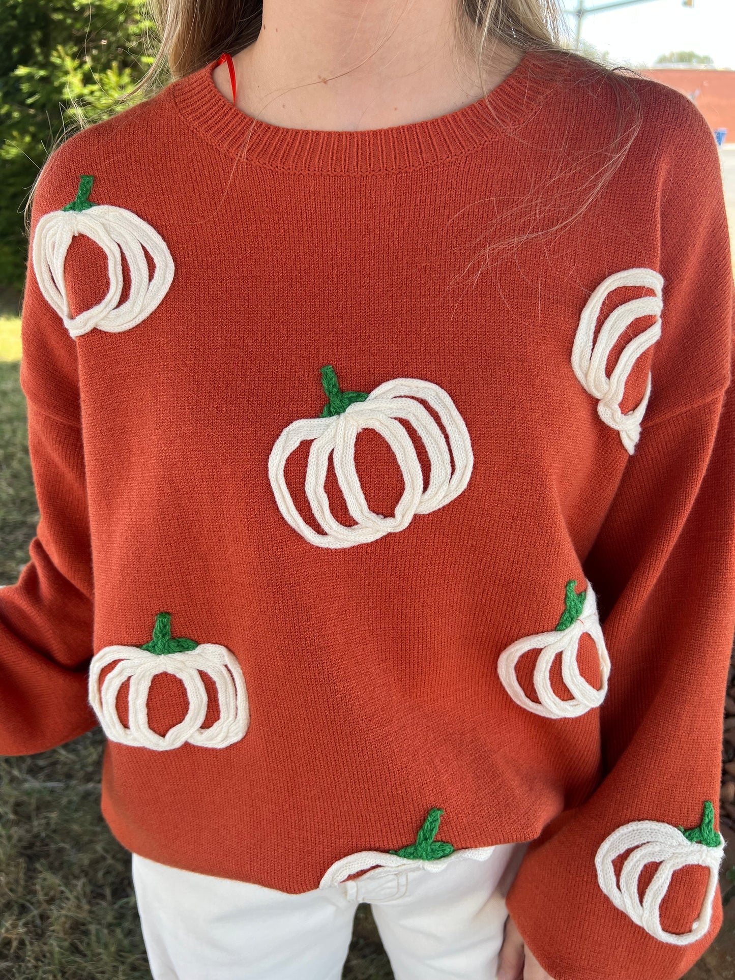 Pumpkin Patch Balloon Sleeve Sweater | RUST