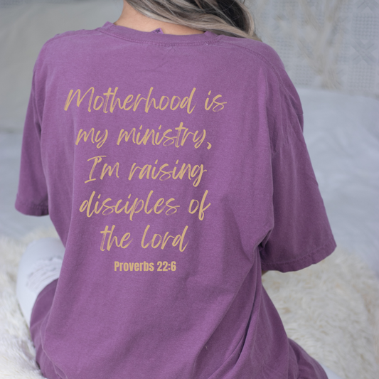 Proverbs 22:6 Graphic Tee