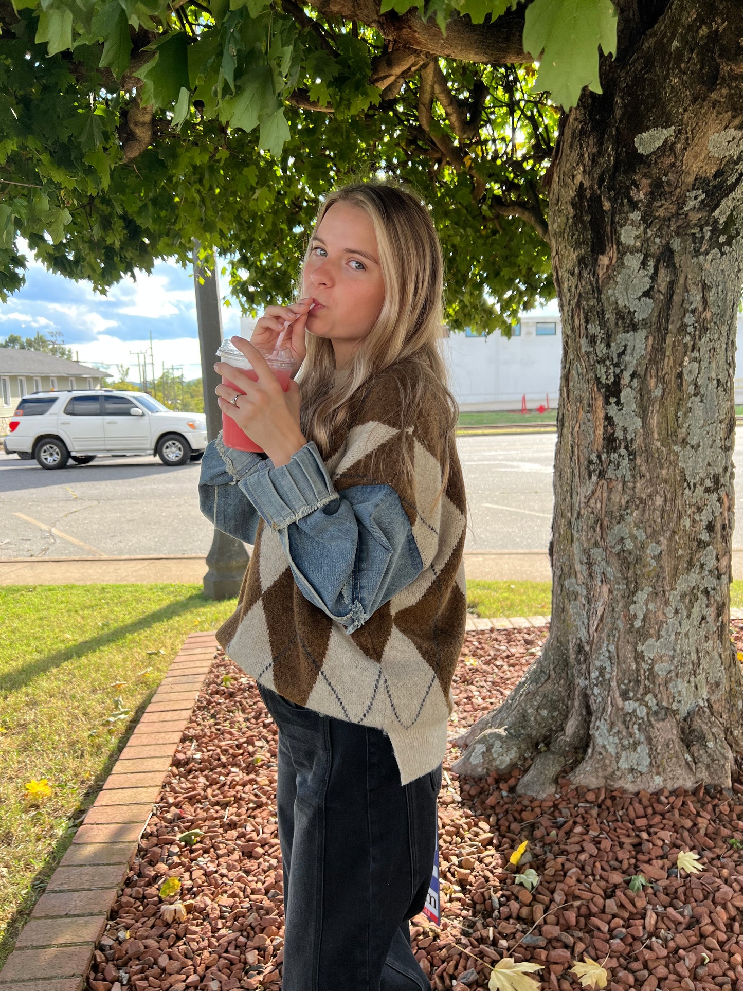 Colette Argyle Denim Sleeve Sweater