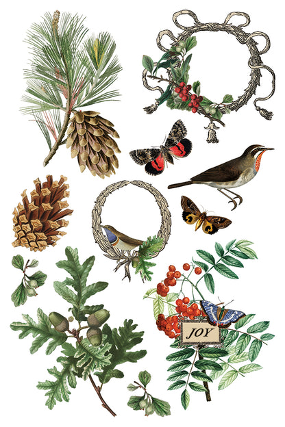 Winter Botanist IOD Transfer 8x12 Pad™