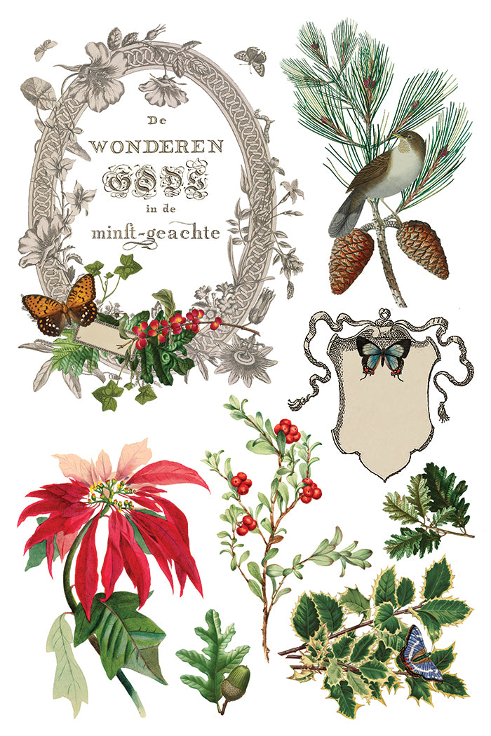 Winter Botanist IOD Transfer 8x12 Pad™