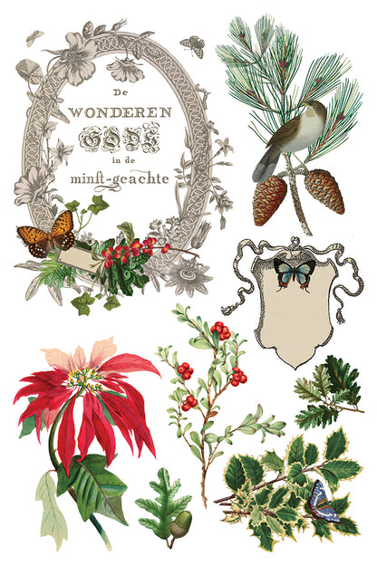 Winter Botanist IOD Transfer 8x12 Pad™