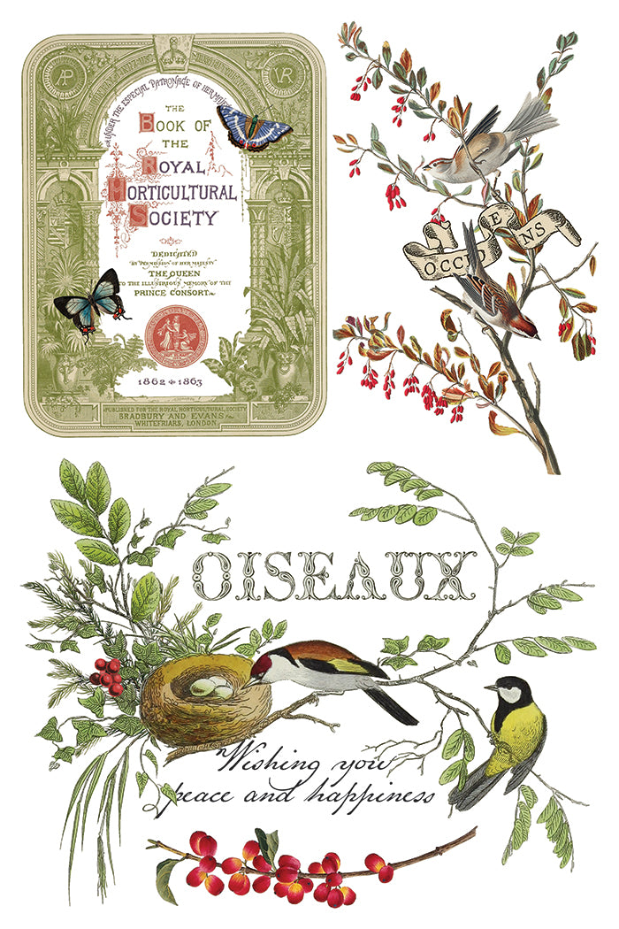 Winter Botanist IOD Transfer 8x12 Pad™
