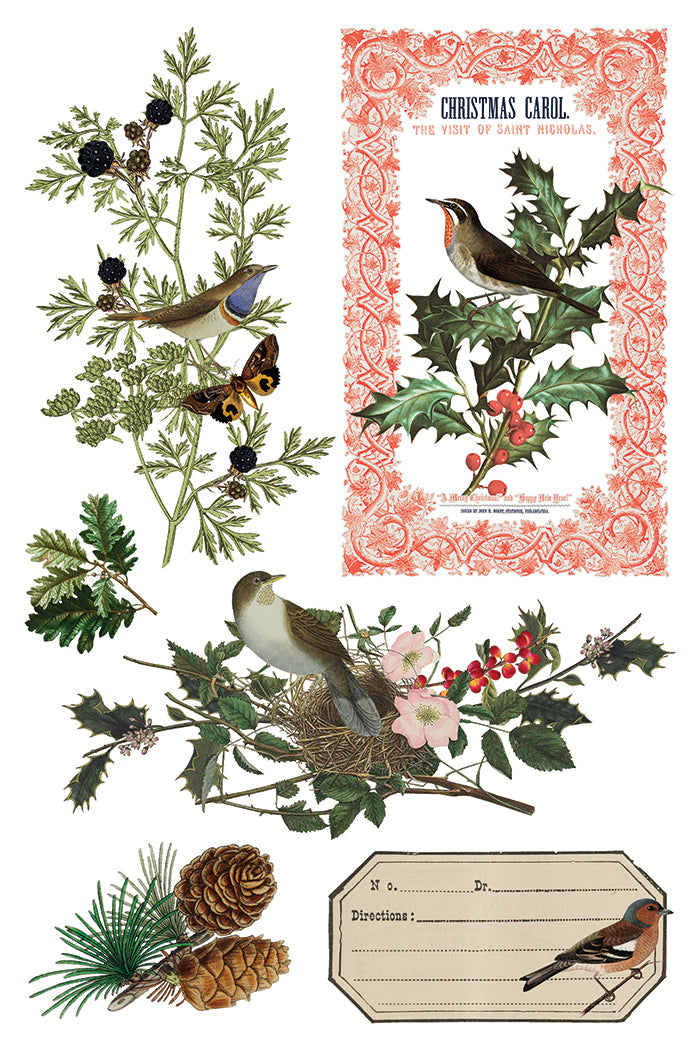 Winter Botanist IOD Transfer 8x12 Pad™