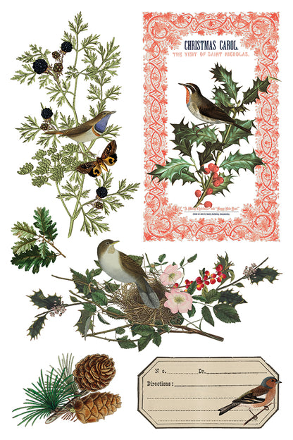 Winter Botanist IOD Transfer 8x12 Pad™