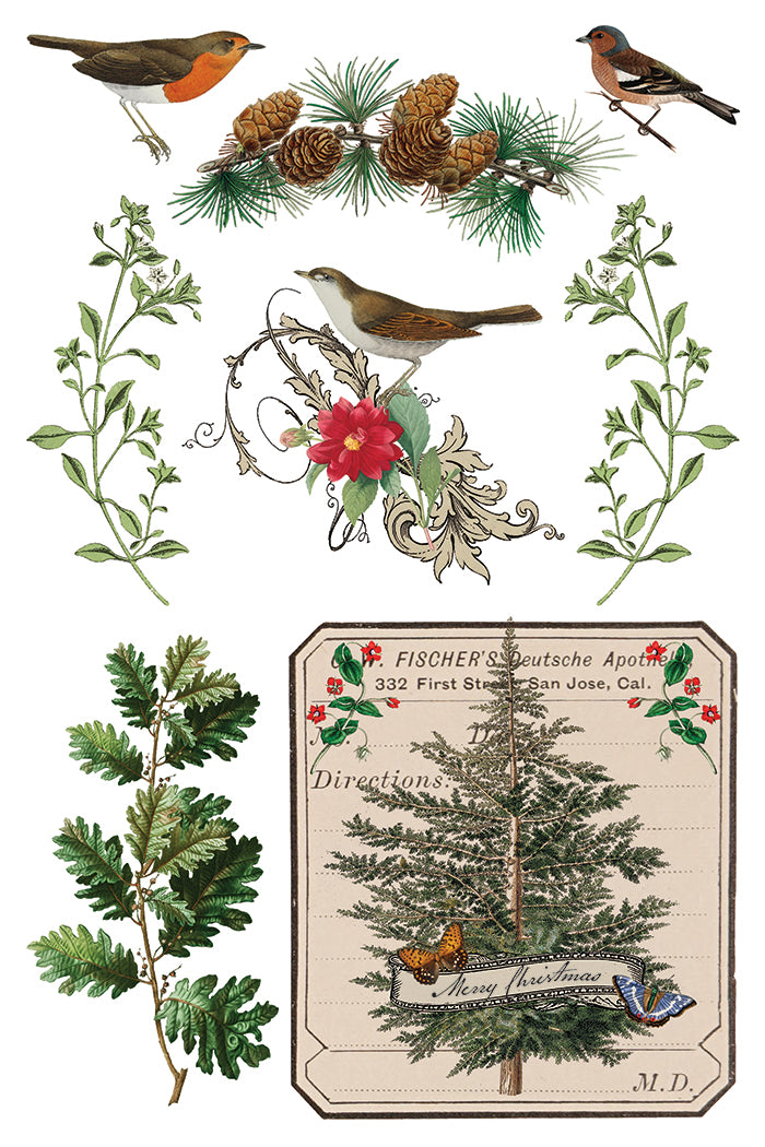 Winter Botanist IOD Transfer 8x12 Pad™