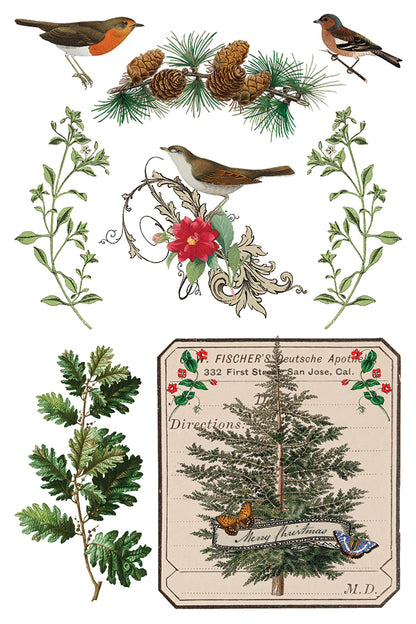 Winter Botanist IOD Transfer 8x12 Pad™