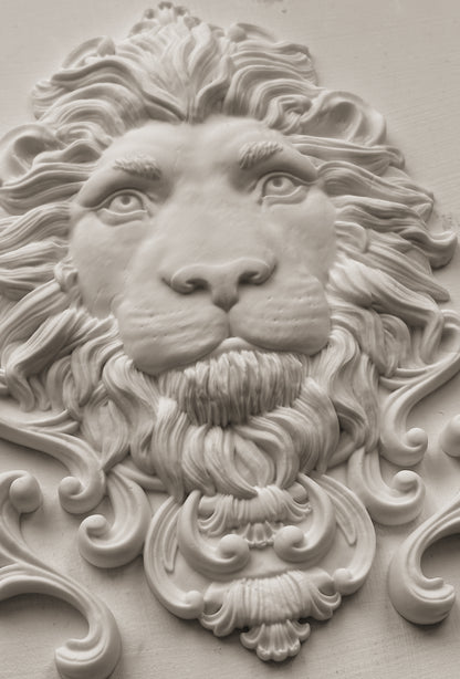 Leonidas 5x7 IOD Mould™