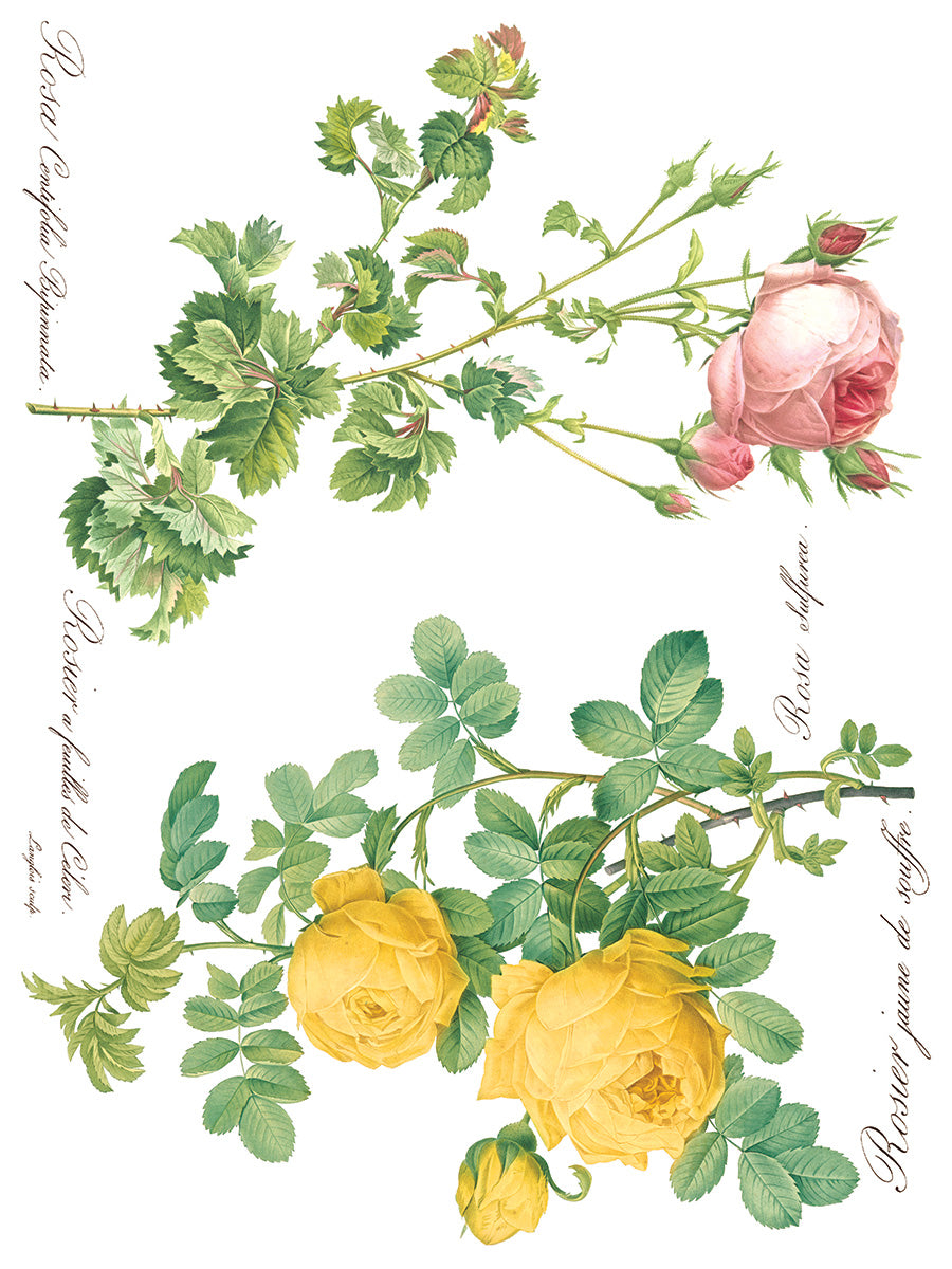 Rose Botanical IOD Transfer 12x16 Pad