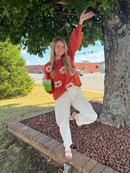 Pumpkin Patch Balloon Sleeve Sweater | RUST