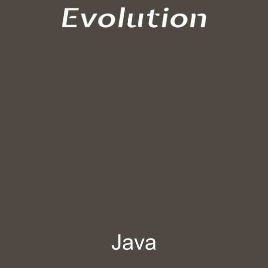 Evolution Paint - Java