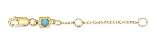 eNewton 2" Necklace Extender - Gold