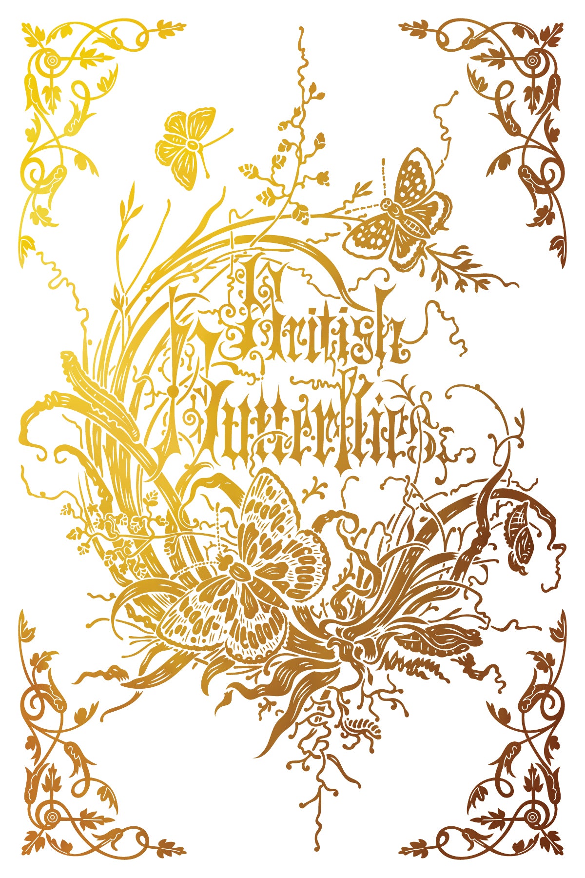 Athenaeum IOD Foil Transfer 8x12 Pad™