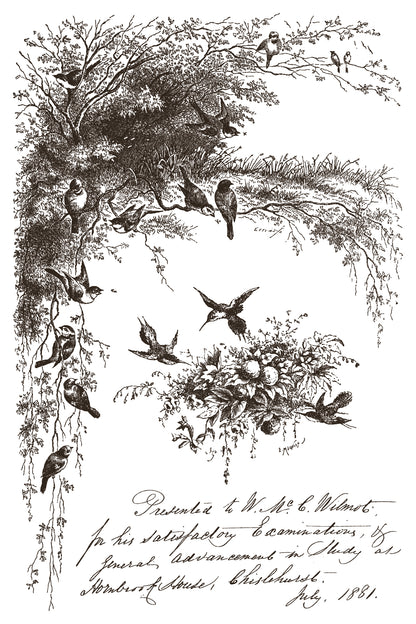 Little Lark IOD Paint Inlay 8x12 Pad™