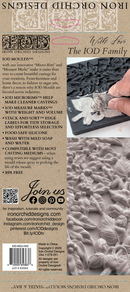 Hazel & Bay 6x10 IOD Mould™