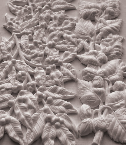Hazel & Bay 6x10 IOD Mould™