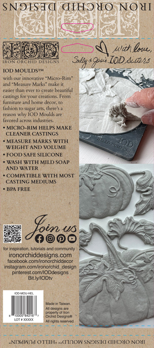 Hello Pumpkin 6X10 IOD Mould