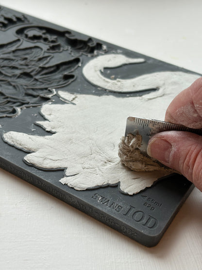Swans 6x10 IOD Mould™