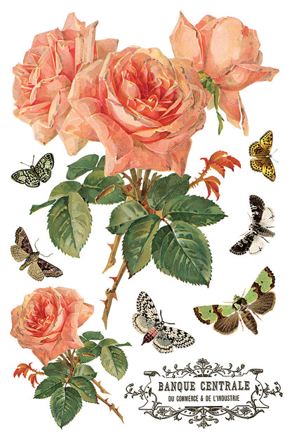 By Any Other Name IOD Transfer 8x12 Pad™