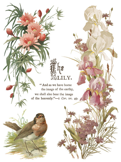 Flowers by the Poets IOD Transfer 12x16 Pad™