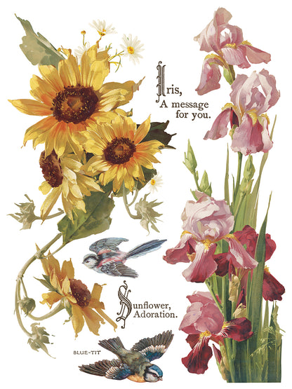 Flowers by the Poets IOD Transfer 12x16 Pad™