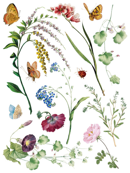 Marché des Fleurs IOD Transfer 12x16 Pad™