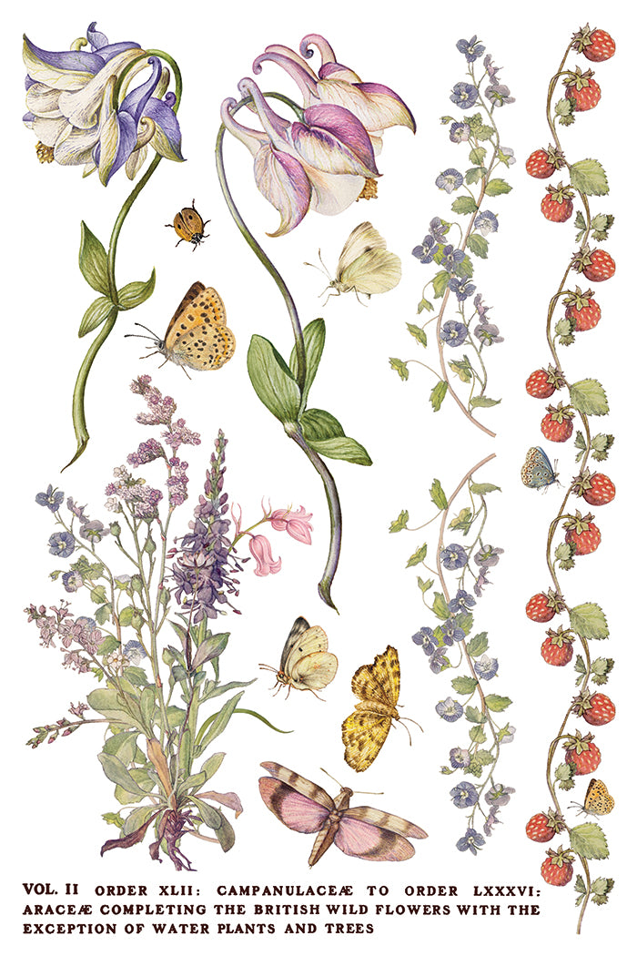Primrose Isle IOD Transfer 8x12 Pad™