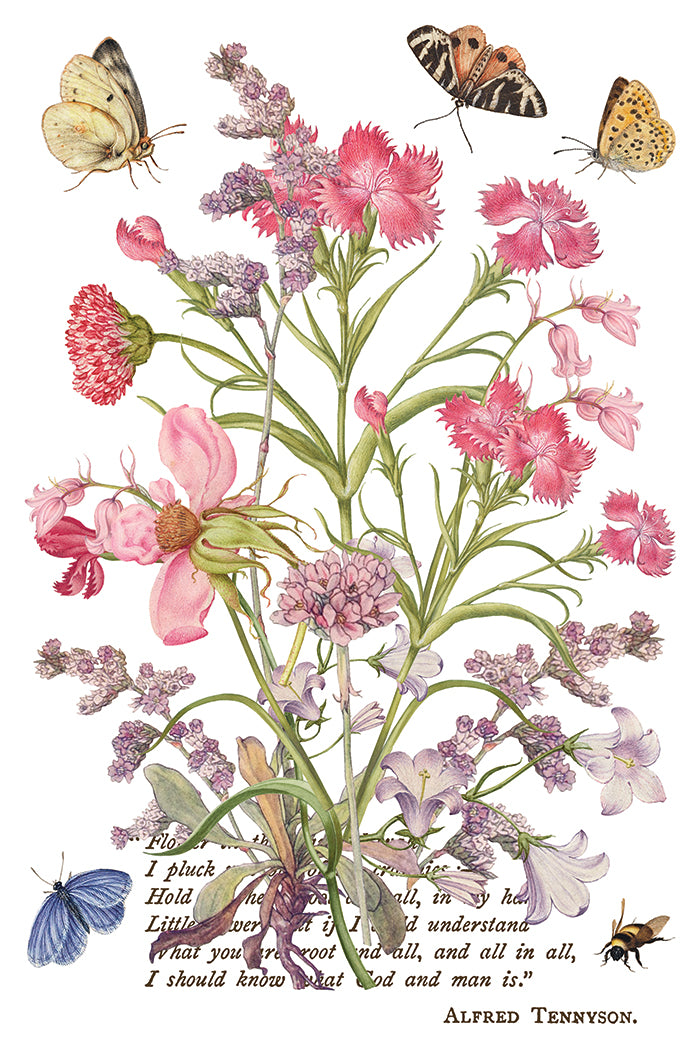 Primrose Isle IOD Transfer 8x12 Pad™