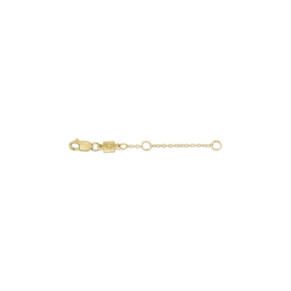 eNewton 2" Necklace Extender - Gold