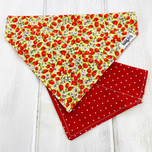Strawberry Fields Dog Bandana