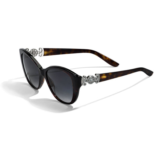 Brighton Illumina Sunglasses